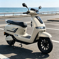 Scooter électrique à 2 roues CKD SKD 12 pouces, moto électrique pour adultes, 1100/1300W, vitesse de 60 km/h, moto électrique en provenance de Chine