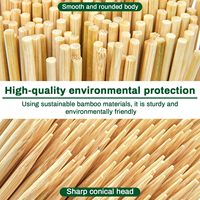 Brochettes en bambou de 12 pouces, bâtonnets en bambou naturel pour barbecue, brochettes jetables robustes en bois pour viande, fruits, kebab, shish