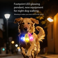 Pendentif LED étanche pour animaux de compagnie, collier lumineux anti-perte pour chien et chat, breloque lumineuse de sécurité nocturne pour les promenades nocturnes