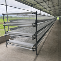 Cage à poulets multi-niveaux pour ferme commerciale, type H, pour 20000-50000 poules, pour le Sénégal, Dakar, conception peu encombrante, longue durée de vie, qianmu
