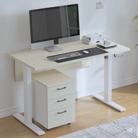 Nouveau design Table électrique motorisée Bureau debout Table électrique réglable en hauteur Bureau de direction