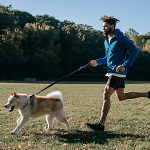 Kerah anjing Martingale, kerah reflektif nilon dapat disetel dengan gesper. Tidak ada tarikan mencegah tergelincir-membantu dengan penarik yang kuat - Product Image 5