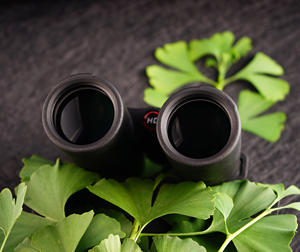 Binoculares oculares grandes de gran angular transparente 10X42 con prisma Bak4, buen precio, gafas de observación de aves, venta de <span class=keywords><strong>telescopio</strong></span> Popular - Product Image 4