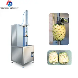 Automatische Industriële Elektrische Persimmon Huidverwijderingsmachines Groene Mango Ananas Schilmachine Fruit Dunschiller Machine