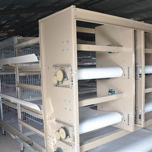 สายพานลำเลียงมูลไก่ PP สำหรับกรงสัตว์ปีก - Product Image 5