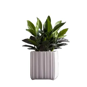 hot sale ceramic square succulent plant pot 6cm 8cm 10cm