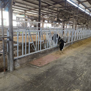 ที่หนีบคอสำหรับเลี้ยงวัวแบบปรับได้เสาโคชุบสังกะสีสเตนชิออนแบบเปิดคู่เดี่ยว - Product Image 4