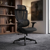 Chaise de bureau ergonomique en maille avec dossier double segmenté, appui-tête réglable, soutien lombaire, accoudoirs inclinables et couleur personnalisable