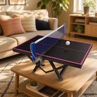 Petite table de ping-pong pour enfants et adultes, nouveau style, table de tennis de table miniature portable avec pieds pliables, pour le bureau, soulagement du stress