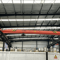 Pont roulant monopoutre électrique à commande sans fil, à faible hauteur de levage, 4 tonnes, pour ligne de production de composants automobiles, direct usine