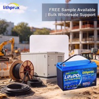 Batterie de chariot élévateur électrique au phosphate de fer et de lithium de qualité A 24V 300AH pour centre de distribution, faible autodécharge, MSDS UN38.3 CE