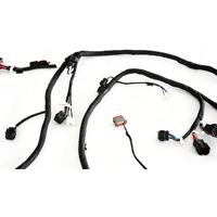 Harnais de câblage personnalisé directement de l'usine pour l'automobile et l'informatique, service OEM/ODM, isolation en nylon, longueur personnalisée disponible