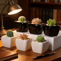 Mini pot carré en céramique noir et blanc MDJ pour plantes succulentes, avec trou de drainage, design minimaliste écologique, décoration de bureau à domicile, 0,3 kg