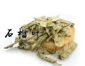 Guayaba guaudio-videoa WAX-Apple <span class=keywords><strong>psidium</strong></span> guava สารสกัดจากใบ - Product Image 6