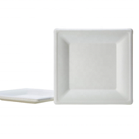 Assiettes jetables en bagasse de canne à sucre biodégradables et compostables de 10x10 pouces en gros pour les vendeurs de food trucks