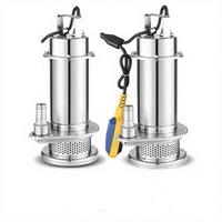 Pompe submersible en acier inoxydable personnalisable, pompe à découpe des eaux usées, 0,25 kW, pompes centrifuges chimiques en métal, personnalisables