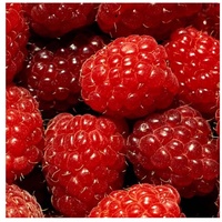 Diepvries hele frambozen |   BRC-gecertificeerde rode bessen, graad A |   Groothandel export van diepvriesfruit
