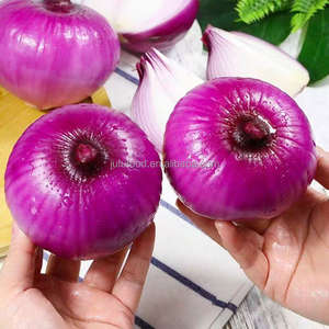 Oignons rouges de la dernière récolte, haute performance, en sacs maillés, pour stockage à froid, frais, 80-150g, durée de conservation de 8 mois, marque Ju Fu, origine Shandong - Product Image 6