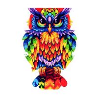 Kit de Peinture Diamant 5D DIY de Haute Qualité pour Adultes et Enfants, Motif Hibou Coloré, Broderie Diamant Complète, Mosaïque Point de Croix pour Décoration Intérieure