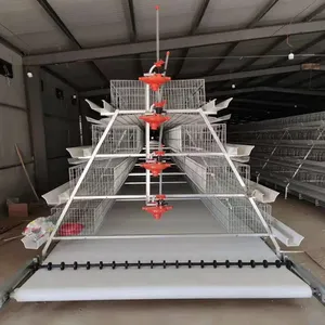 Jaula para Gallinas de Alta Calidad con Nuevo Diseño de 3 Niveles Tipo A, Jaula para Pollos, Equipo para Aves de Corral, Cría de Pollos - Product Image 4