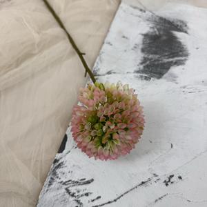 Flores <span class=keywords><strong>de</strong></span> Rosa Secas Rosadas Románticas al por Mayor, Hechas a Mano, Decoraciones para Bodas al Aire Libre, Decoración para Sala <span class=keywords><strong>de</strong></span> Estar - Product Image 6