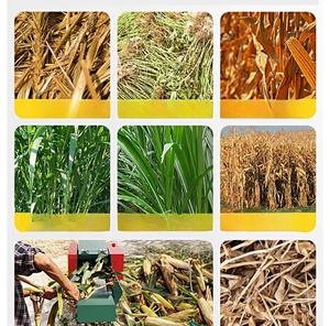 Coupe-paillettes agricole d'<span class=keywords><strong>occasion</strong></span> avec <span class=keywords><strong>moteur</strong></span> et <span class=keywords><strong>moteur</strong></span> pour le hachage du foin et de l'ensilage de ferme à haute productivité - Product Image 6