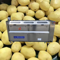 Qd-Hoogwaardige Droge Uienschilmachine Niet-Destructieve Pneumatische Ketting Uienschiller