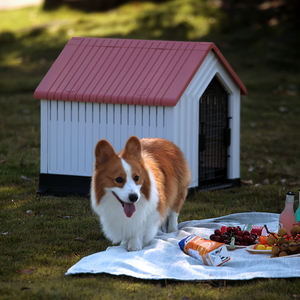 ปุ่มสแนปปิดกรงสัตว์ขนาดเล็กกลางแจ้งสไตล์โมเดิร์นบ้านสุนัขพลาสติก PP สีฟ้า/สีแดง/สีเข้มสแนปหลังคาสีเทาสำหรับสัตว์เลี้ยง - Product Image 2
