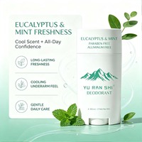 Déodorant Solide Naturel Végétalien à l'Eucalyptus et à la Menthe, Sans Aluminium et Sans Parabène, Longue Durée, Anti-Odeur, Marque Blanche, Vente en Gros, OEM