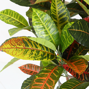Ficus-planta en maceta, variegatum, árbol de croton, plantas ornamentales artificiales - Product Image 5
