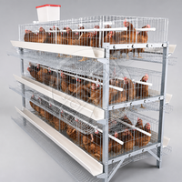 Nouvelles cages automatiques pour poules pondeuses à 3/4/5 niveaux en acier galvanisé à chaud, système de collecte d'œufs multifonctionnel, usage commercial