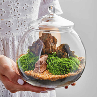 Vas kaca terarium Dekorasi seni DIY Modern dengan tutup untuk dekorasi rumah vas dinding meja kantor tampilan bunga Desktop restoran