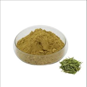 פרמיה מאצ 'ה ירוק תמצית l-theanine 98% אלאל מוסמך שומן מבער תוספת בריאות - Product Image 3