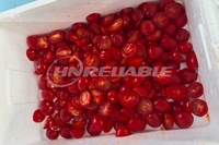 Multifunctionele Groente Snelheid Verstelbare Fruit Halvering Machine Kool Aardappel Grapefruit Aardbei Half Snijmachine