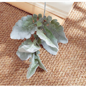 Piccole Piante Artificiali a Stelo Corto per Decorazione Casa, Foglie Floccate Dusty Miller - Product Image 2