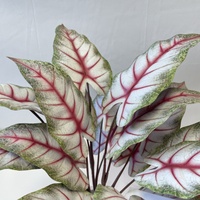 Plantes artificielles en feuilles de caladium à toucher réel, en pot, en plastique et en soie, durée de vie de 8 à 10 ans, décoration d'intérieur, directement de l'usine