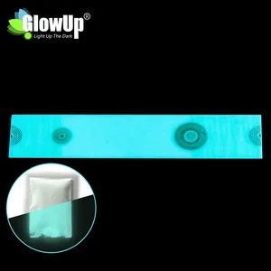 Glow In The Dark Pigment White Car Paint Loose Glow In The Dark Pigment From Ocrown