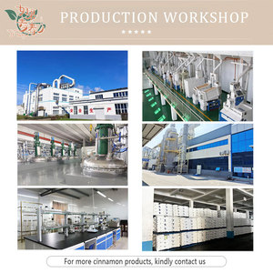 Cao cấp bán buôn khô ngày đỏ tự nhiên táo tàu màu đỏ tinh khiết trái cây sấy khô - Product Image 4
