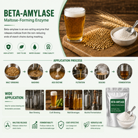 Bêta-amylase de qualité alimentaire 700000 U/g Préparations enzymatiques pour la production de sirop de maltose