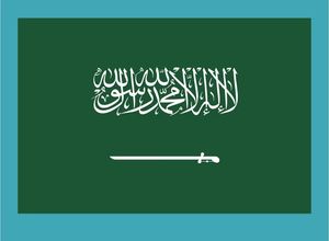 DDU China a los Emiratos Árabes Unidos Servicio puerta a puerta Proveedor de logística aduanera Transporte marítimo DDP <span class=keywords><strong>Express</strong></span> DHL UPS Arabia Saudita Envío aéreo barato - Product Image 2