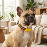 Traceur GPS Cutepet AI 4G Beidou avec surveillance de la santé, suivi en temps réel, fréquence cardiaque, étanche IP67 pour chats et chiens