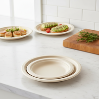 Assiettes à dîner en papier bagasse biodégradable personnalisées RX, compostables, jetables, 10 pièces, style simple et moderne, plusieurs tailles