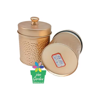 Vente en gros Ensembles de bidons Stockage galvanisé Bocaux de bouteille de nourriture Boîte en métal Petit pot de fleurs en étain avec couvercle