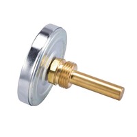 Termometer Bimetalik Tipe Pointer Tahan Suhu Tinggi, Digunakan untuk Pipa Boiler Industri untuk Mengukur Suhu.