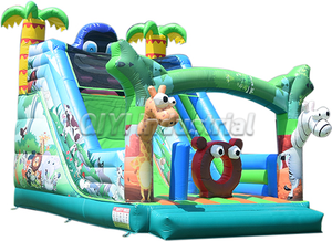 Château gonflable extérieur avec toboggan toboggan aquatique Maison de rebond Château plein d'entrain Toboggan aquatique Châteaux sautants commerciaux à vendre - Product Image 3