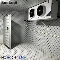 Chambre froide modulaire sur mesure pour congélation intérieure avec panneaux PU pour fruits/viande/fruits de mer