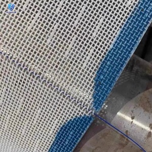 Tùy chỉnh thiết kế <span class=keywords><strong>Polyester</strong></span> lỗ vuông lưới lọc vành đai cho vật liệu sàng lọc và tách giá nhà máy trực tiếp - Product Image 2