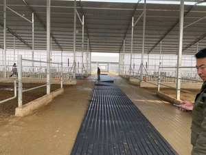 Vee Rubberen Koeienmatten/Stallenvloeren/Antislipmat Voor Veehouderijapparatuur - Product Image 3