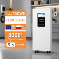 Stock UE - Batterie LiFePO4 15kWh 51.2V 300Ah avec plus de 8000 cycles de charge, pour stockage d'énergie solaire avec BMS intelligent
