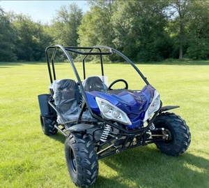 <span class=keywords><strong>Quad</strong></span> <span class=keywords><strong>électrique</strong></span> 2000 W équipé d'un blocage différentiel LNA, buggy OEM ODM pour adultes - Product Image 2